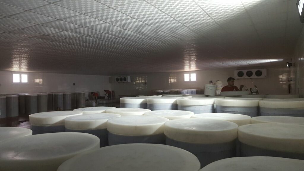 Doktorum Şalgam Suyu