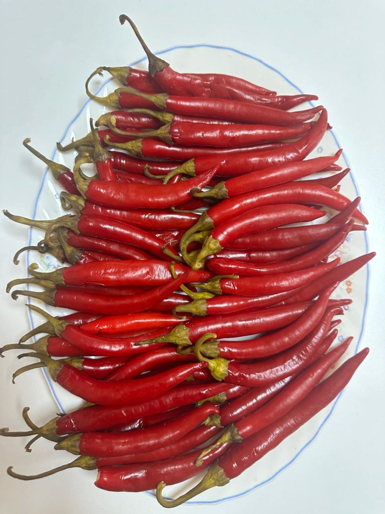 Doktorum Şalgam Suyu