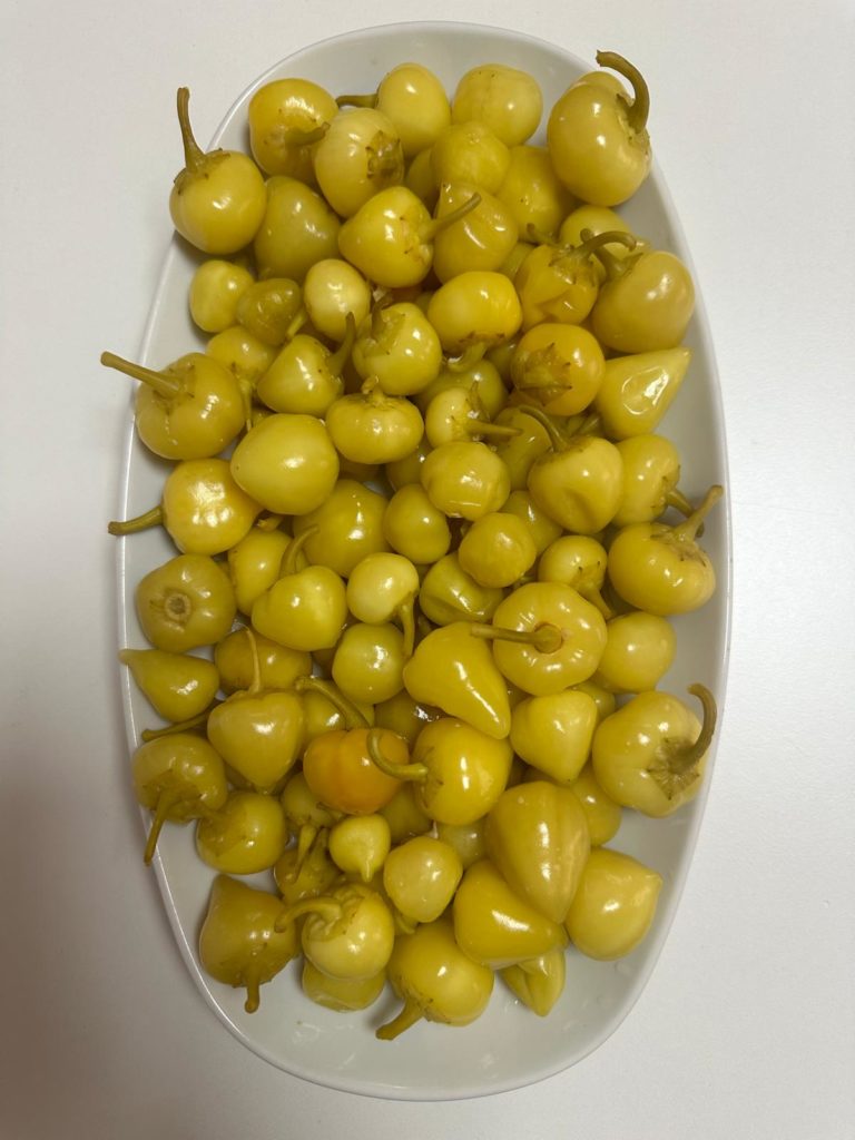 Doktorum Şalgam Suyu