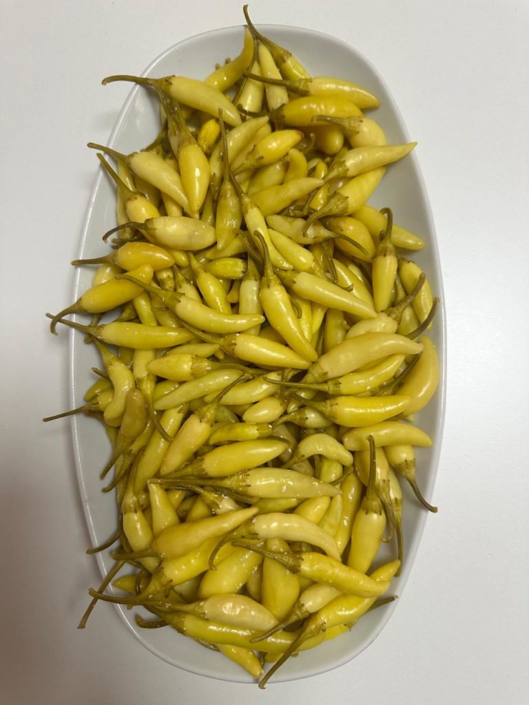 Doktorum Şalgam Suyu