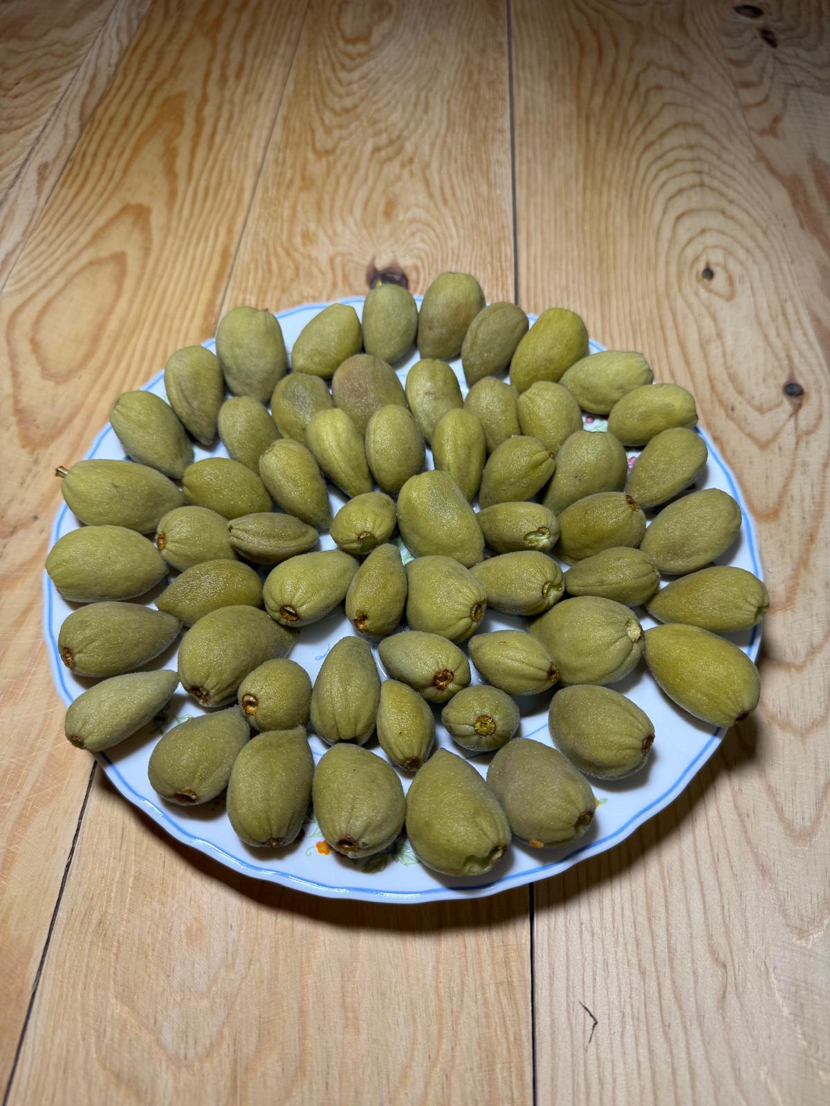 Bir Kg Badem turşusu