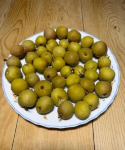 Bir Kg Şeftali turşusu