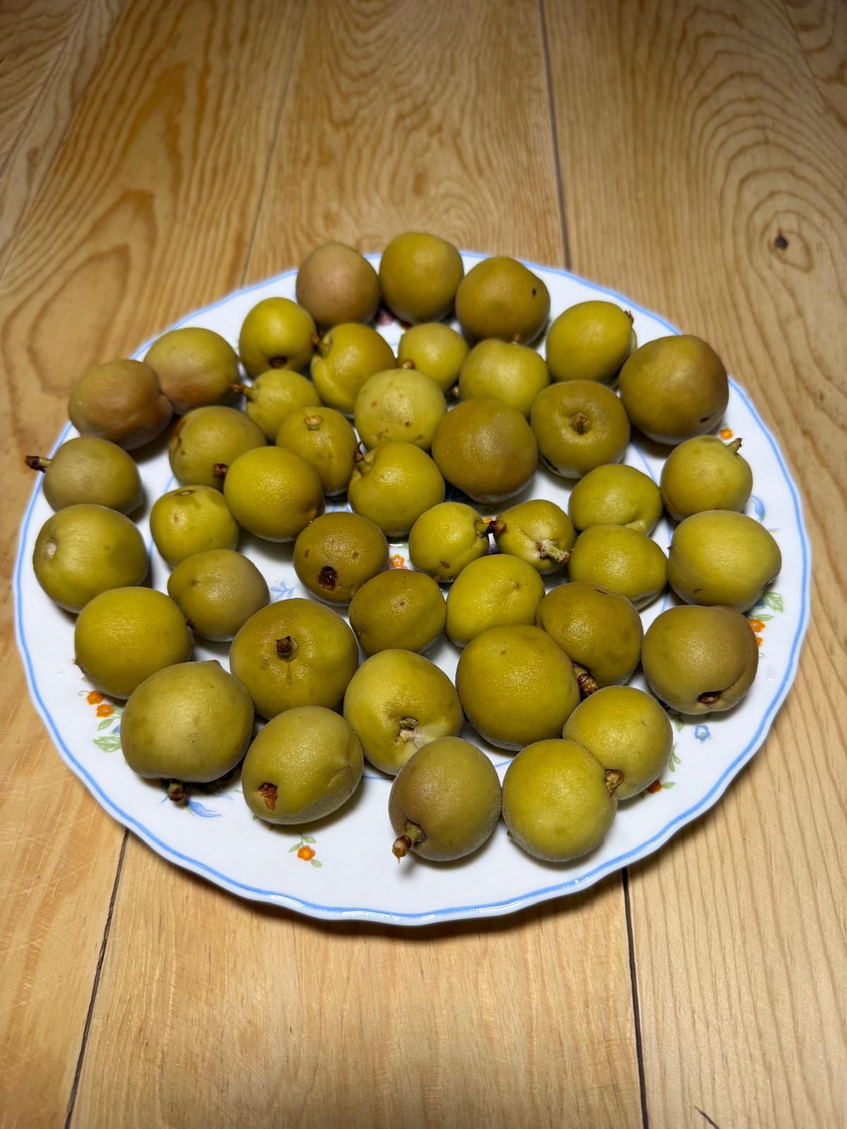 Bir Kg Şeftali turşusu